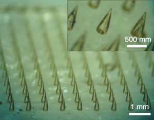 Microneedle